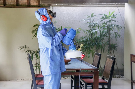 Commercial Pest Control Services