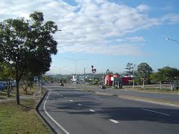 Pest Control Services in Logan