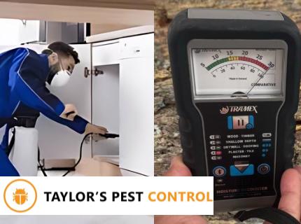 General Pest Control + Termite Inspection