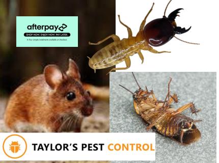 General Pest Control + Termite Inspection + Rodent Treatment