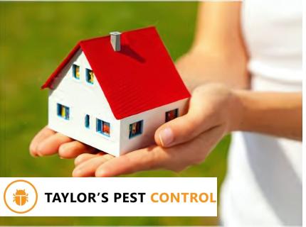 Move In / Move Out Pest Control Package